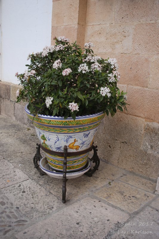 Spain: Andalusia, Ronda