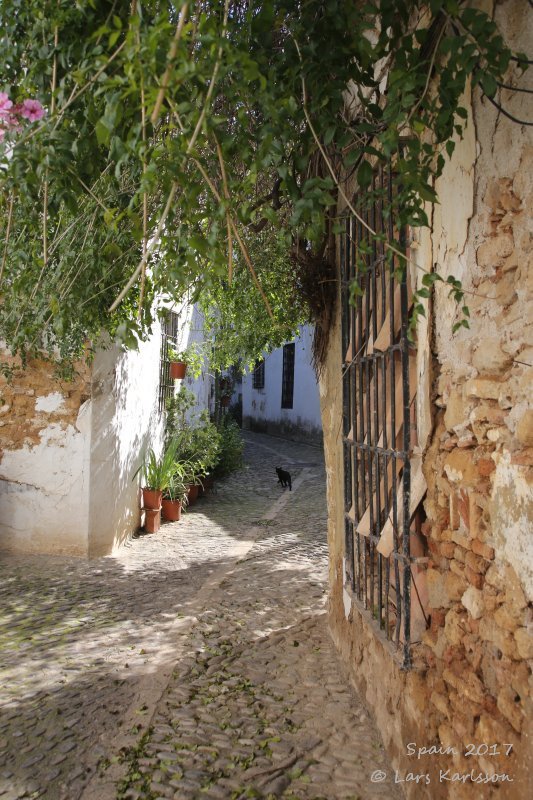 Spain: Andalusia, Ronda
