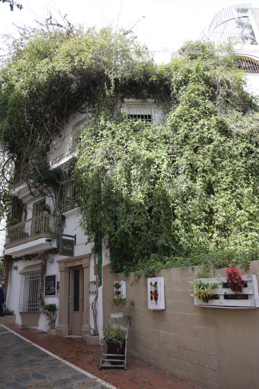 Spain: Andalusia, Marbella