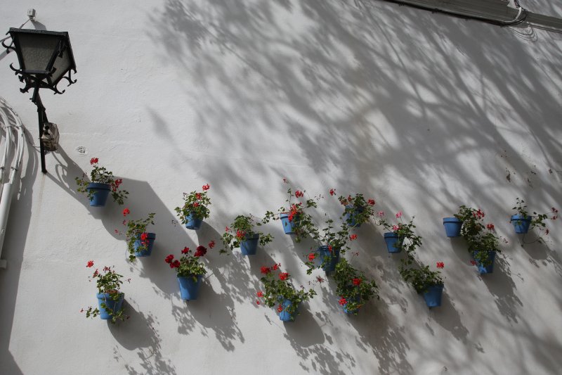 Spain: Andalusia, Marbella
