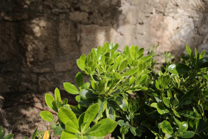 Spain: Andalusia, Marbella