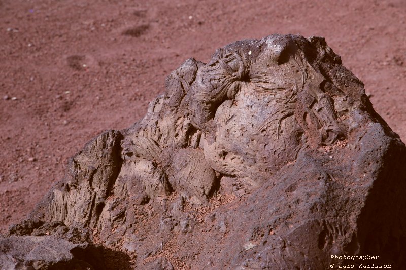 One week at Lanzarote, Spain 2020