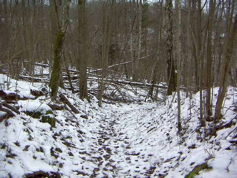 On the roads and visit: Gyllene Uttern, Röttle and Brahe Hus, Sweden 2007