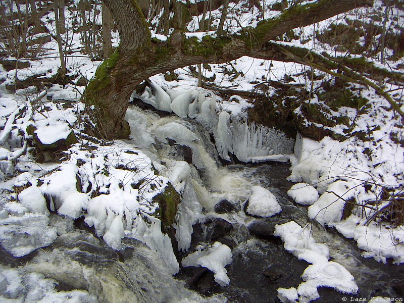 On the roads and visit: Gyllene Uttern, Röttle and Brahe Hus, Sweden 2007