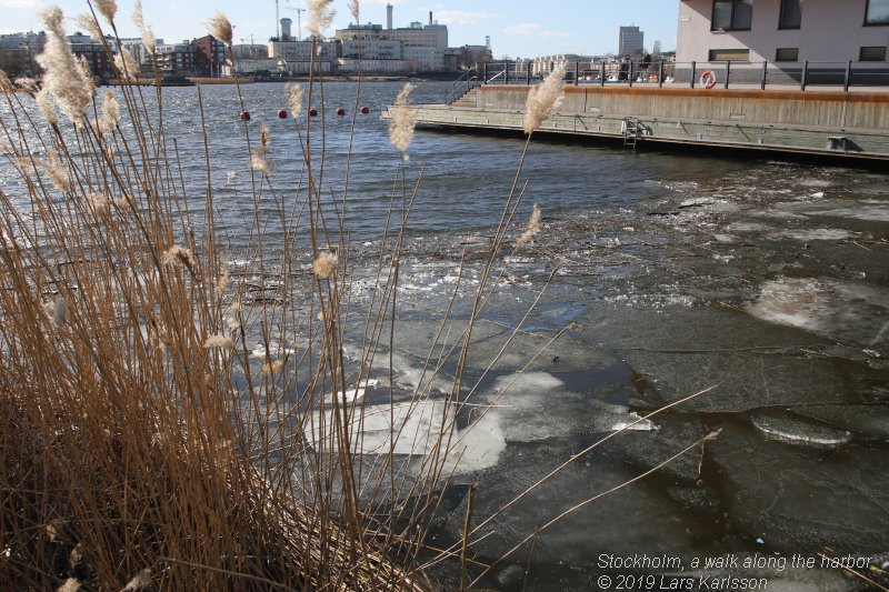 Walks along Stockholm City's harbors: Hammarby Sjöstad's and Soutern Stockholm city's harbors, 2019