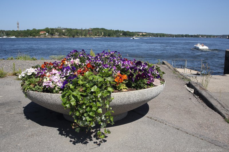 Walks along Stockholm City's harbors: From Fåfängan to Slussen, 2019