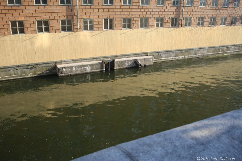 Walks along Stockholm City's harbors: Around Gamla Stan, Old Town, 2019