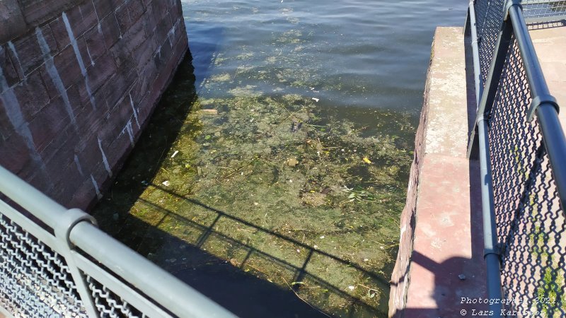 Walks along Stockholm City's harbors: Southern Hammarby lake, 2021