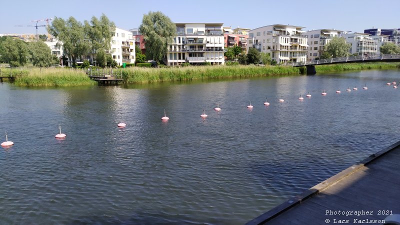 Walks along Stockholm City's harbors: Southern Hammarby lake, 2021