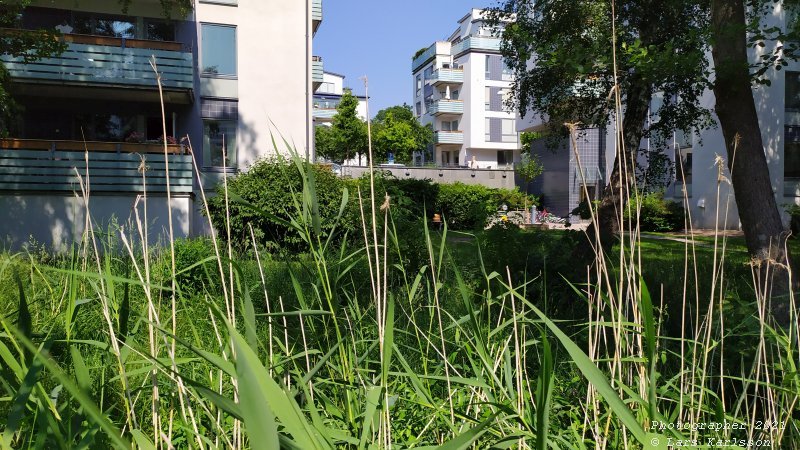 Walks along Stockholm City's harbors: Southern Hammarby lake, 2021