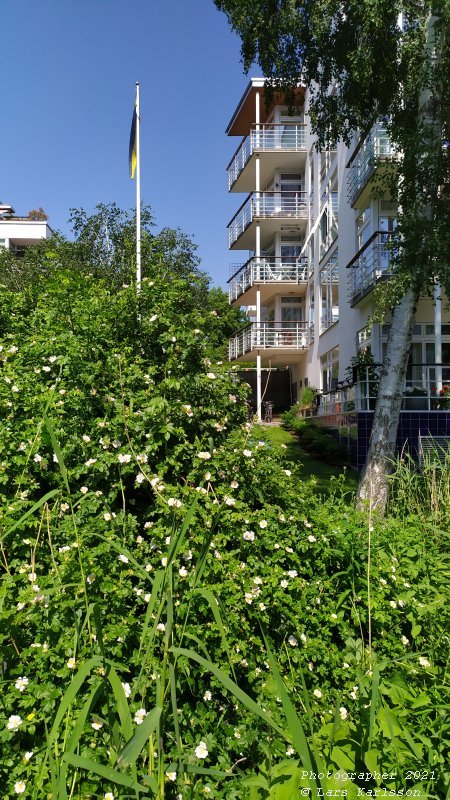 Walks along Stockholm City's harbors: Southern Hammarby lake, 2021