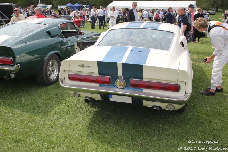 Early Shelby Mustang