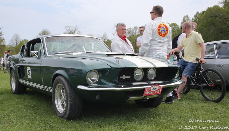 1967 years Ford Mustang GT350