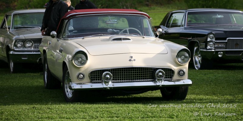 Ford Thunderbird 1955